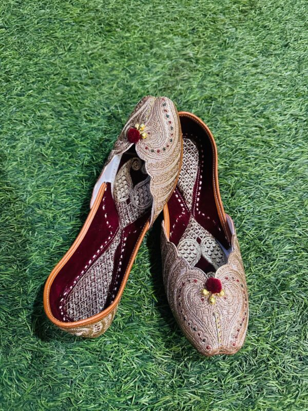 Pakistani Cut Work Juttis - Image 3